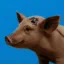 Pig is brown icon
