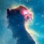 Space Cat icon