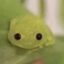 froge icon