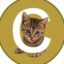 Chibicoin icon