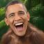 APEBAMA icon