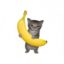 cet wif banana icon