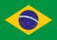 Brazil icon