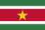 Suriname icon