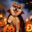 Vampinu icon