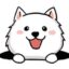 BARK Token icon