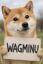 WAGMINU icon