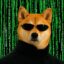 NIU icon