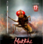 KungFuFly icon