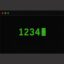 1234 icon