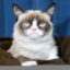 Grumpy icon