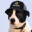Good Lord Nicosoft icon