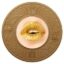 Bitch coin icon