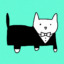 The Hype Cat icon
