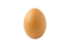 JustAnEgg icon