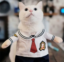 Student Cat icon