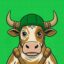 Fallguyhood icon