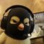 Chickwifmask icon