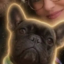 bulldog cassie icon