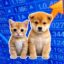 Cats&Dogs icon