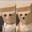 Anonymous CatDog icon