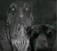 jorick icon