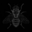 Fly Agent icon