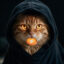 Catoshi Rush icon