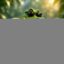 Juggernaut icon