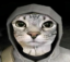 cat1 icon