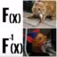 Inverse Cat icon