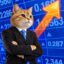 Securities Exchange Cat icon