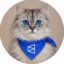 Polymarket Cat icon