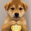 Im Now Useless icon
