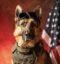 War Dog icon
