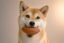 Football Inu icon