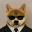 SPY icon