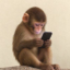 apefone icon