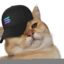 SolKitty icon