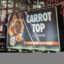 CARROT TOP Wishing a speedy icon