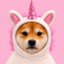 INU icon