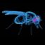 THE FLY icon
