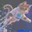 Jcat icon