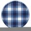 Flannel Coin icon