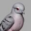 MOODYPIGEON icon