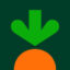 Instacart icon