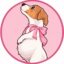 KHLOE INU icon