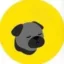 PUGCOIN icon