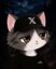 XCAT icon