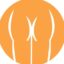 Buttcoin icon